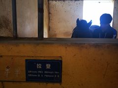 -松声马术俱乐部