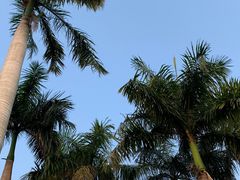 -万绿园