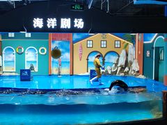 -重庆欢乐海底世界