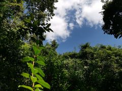 -七仙岭温泉国家森林公园
