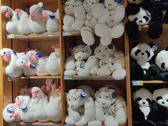 -杭州野生动物世界