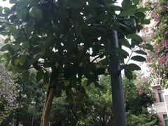 -concerto协奏曲咖啡店