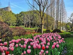 -中共上海市委党校 上海行政学院