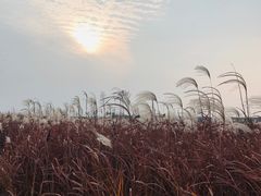 -盘龙城国家考古遗址公园