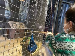 -酷嗒动物文化乐园(cutezoo西溪乐天城店)