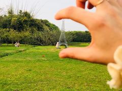 -艾溪湖湿地公园