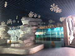 -秦皇岛乐岛海洋王国