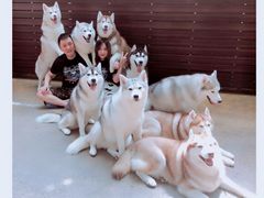 -TrueLove @ Neverland (Husky Cafe)