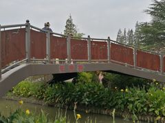 -上海长兴岛郊野公园