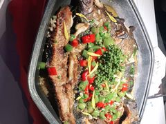 -马邦子·紫苏烤鱼(恒隆广场店)