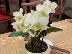 -佛有缘素食馆·荔湾老字号(陈家祠首店)