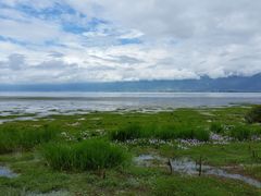 -大理洱海