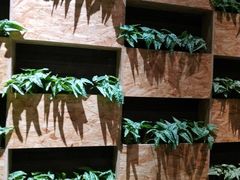 -御湾·浅水湾·贺胜土鸡汤(潜山店)