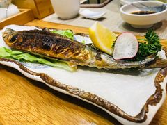 -樱の千渡日式料理·铁板烧•烧鸟(金盛田广场店)