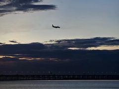 -宝安西湾红树林湿地公园