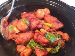 -金轩中餐厅 Jin Xuan(浦东丽思卡尔顿酒店)