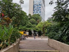 -九龙公园