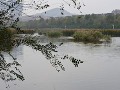 -前关湿地公园