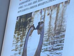 -陆记鹅庄·潮汕菜·狮头鹅(大仟里店)