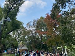 -宁波儿童公园(鄞州区)