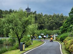 -宜兴龙背山森林公园