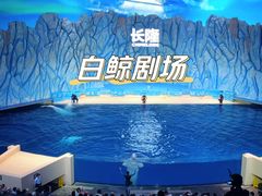 -珠海长隆海洋王国