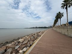 -宝安西湾红树林湿地公园