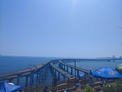 -星海湾跨海大桥