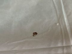 -百花人家(清水田园店)