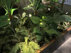 -浅深(北京北四环精品店)