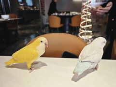 -嘉宴·精致客家菜