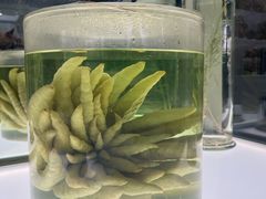 -北京中医药大学-中医药博物馆