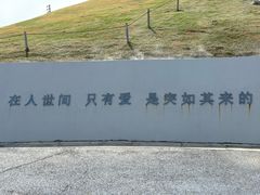 -荷兰花海