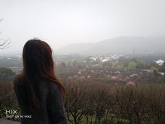 -香雪海
