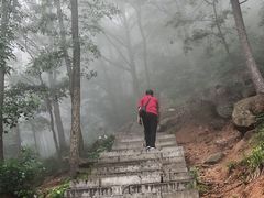 -沂蒙山旅游区云蒙景区(蒙山国家森林公园)