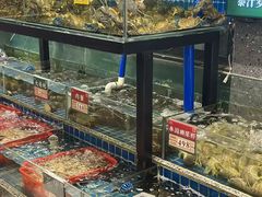 -飞尝蚝·顺德菜·鱼生(顺德总店)