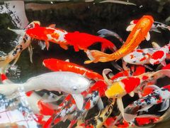-苏州环秀晓筑养生度假村