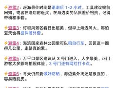 -日照海滨国家森林公园