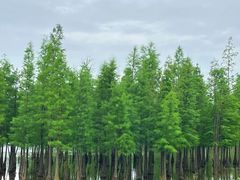 -白鹭湾湿地公园