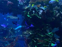 -迪拜帆船酒店海底餐厅