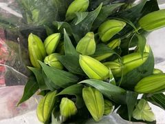 -循礼门鲜花花市(武汉循礼门店)