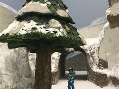 -哈尔滨热雪奇迹