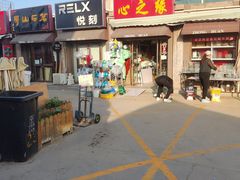 -中环花鸟鱼虫市场