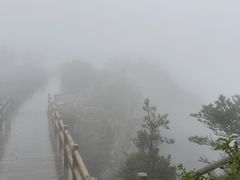 -牛背梁国家森林公园