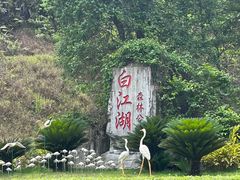 -广州白江湖森林公园