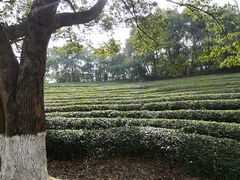 -敬亭山风景名胜区