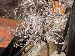 iphone_upload_pic-北京水岸山吧度假村(雁栖镇店)