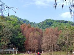 -广州市白云山风景名胜区