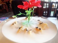 鱼子酱芥末虾球-御提小馆烤鸭店(陆家嘴店)