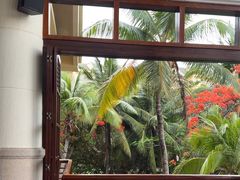 -亚龙湾喜来登·美景台大堂吧